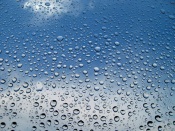Drops After Rain drop